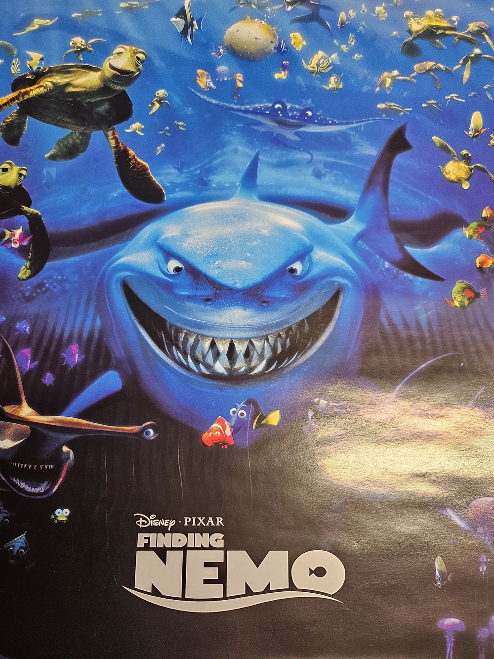 Finding Nemo Poster - Picture 2 of 3